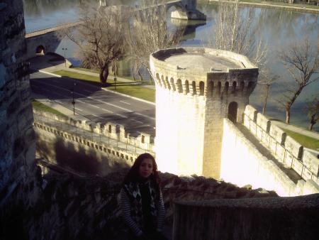 le pont d'avignon