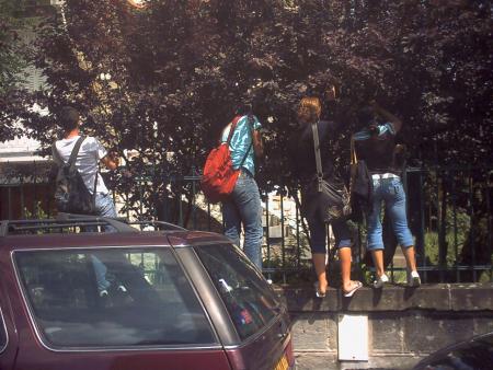 vincent      samir         louisa         siham                      TMDC