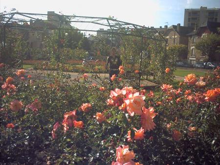 c siham wakha domage b3ida